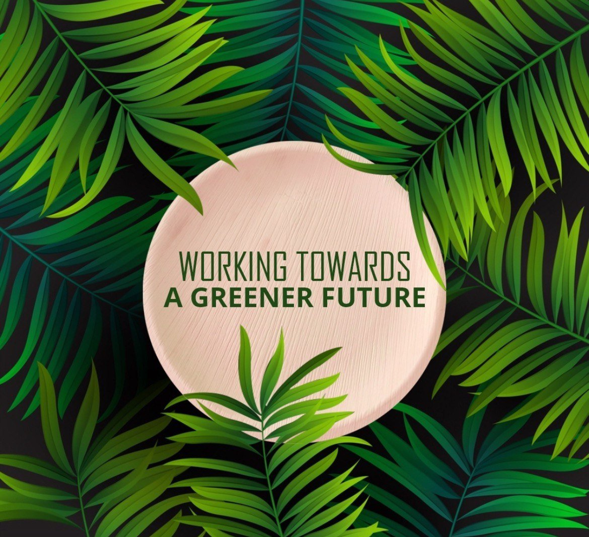 Areca Leaf Tableware bowls