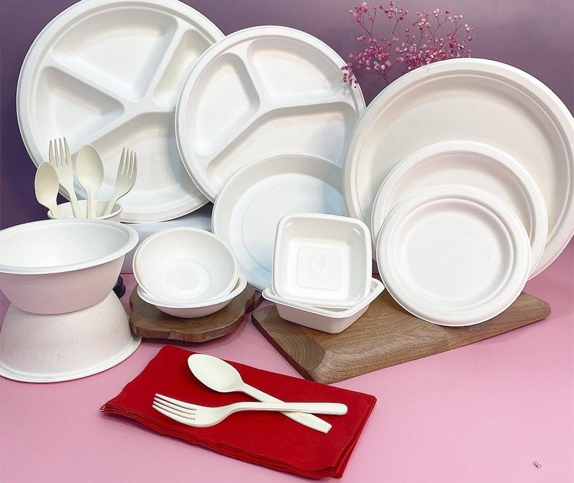 Bagasse Tableware trays